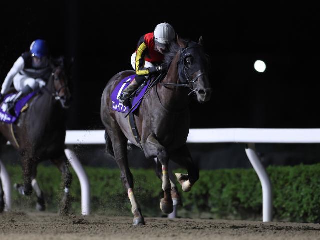 【浦和記念注目馬】東京大賞典に向けても見逃せぬ一戦 中央、地方から実力拮抗の12頭