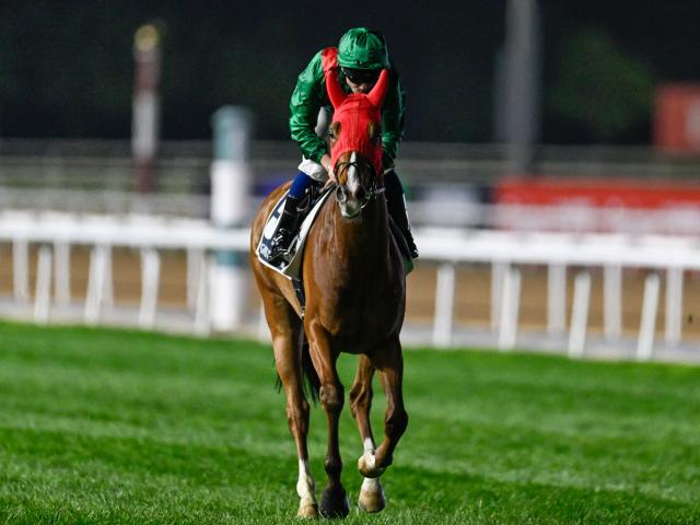 äƤɵҥ 20ǯ֤ΥѥCƤʤ뤫