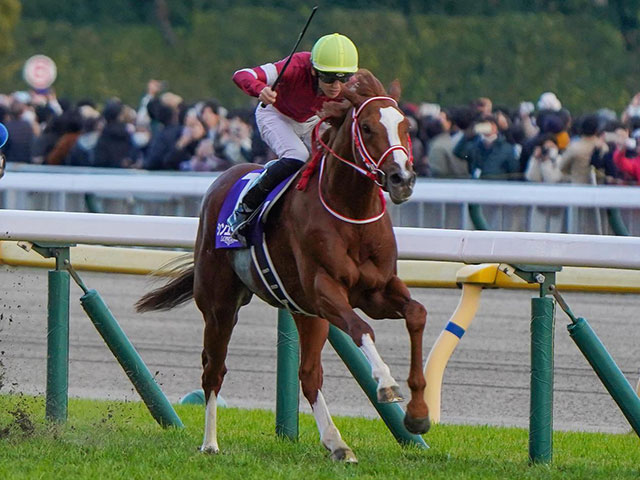 【ジャパンC】19頭の香港馬名・馬名意味を紹介！『真命新帝』『好脆』はどの馬？
