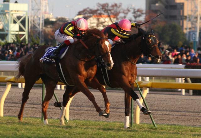 ̾ƥƥɥʻह16С12ǯ312&13ǯJCϢơ14ǯͭϵǰͭV