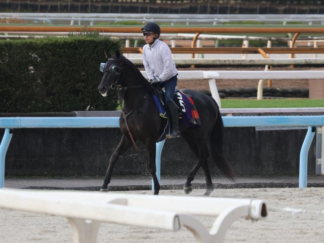 ベレシートなど、先週の入厩情報/栗東トレセンニュース