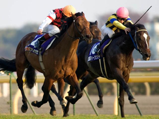 ǯΥѥCϡ8ȡפ 3ϢΨ100