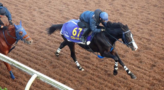 【ジャパンC・西山が見た】仕上がり良好のマスカレードボール　G1連勝のポイントは、平常心で臨めるかどうか