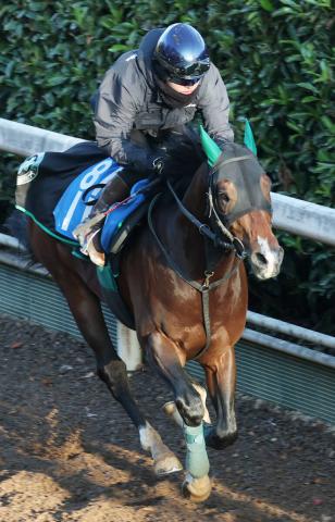 【京阪杯】重賞初制覇へ　レイピアが坂路で自己ベストタイ　中竹調教師「言うことはない。ここでどれだけやれるか」