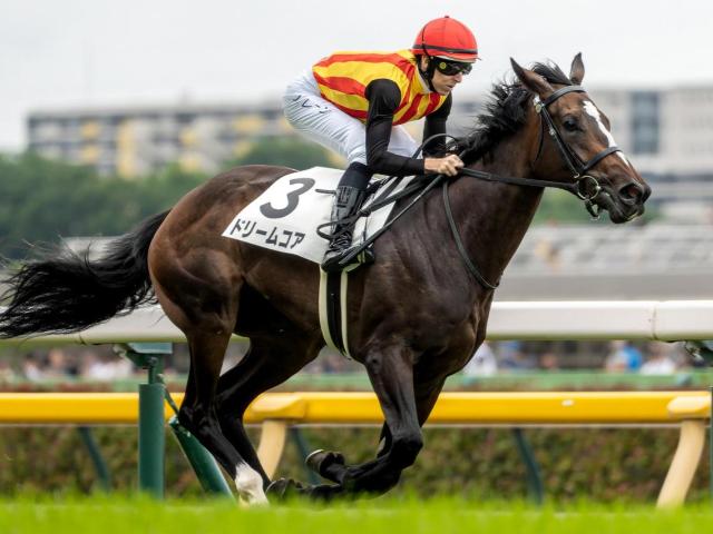 ڥ٥˥ޡ̾ƥΡॳ ɥ꡼ॳ2ܤʤ뤫