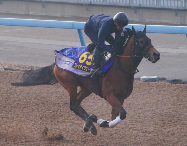 【ジャパンC】ブレイディヴェーグ　有終の美へ絶好調　宮田師「満足のいく動き」