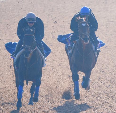 【ジャパンC】シュトルーヴェ　2馬身遅れも気配悪くない走り「良かった前走と遜色ない」