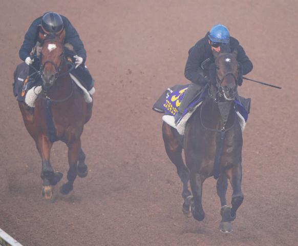 【ジャパンC】コスモキュランダ　楽々と3馬身先着4F52秒3　丹内は絶賛「言うことなし」