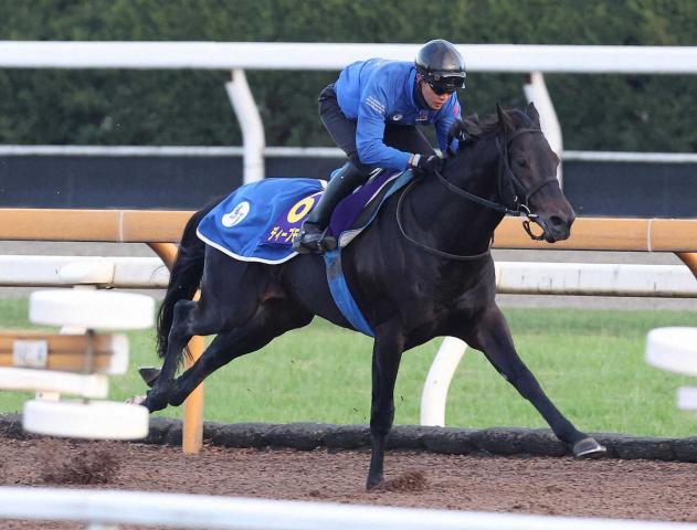 【ジャパンC】ディープモンスター　最後までしっかり11秒2　池江師「力んでいたけどまずまず」