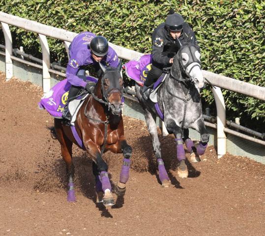 【ジャパンC】ヨーホーレイク　半馬身先着4F52秒1　友道師「いい雰囲気で迎えられる」