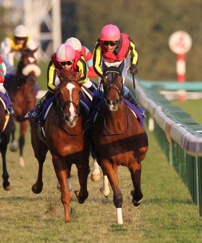 ジェンティルドンナ急死…史上初ジャパンC連覇、12年牝馬3冠などG1・7勝