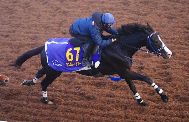 【ジャパンC】マスカレードボール　3歳で天皇賞・秋Vからの連戦は過去2頭も…