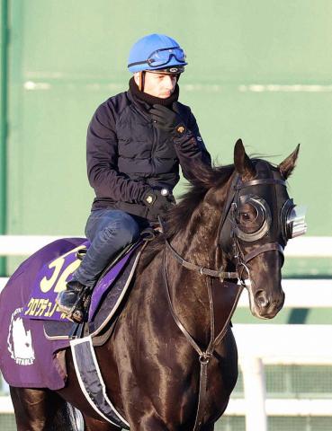【ジャパンC】北村友×斉藤崇厩舎“黄金タッグ”JRA重賞勝率36%　単勝&複勝回収率も100%超え
