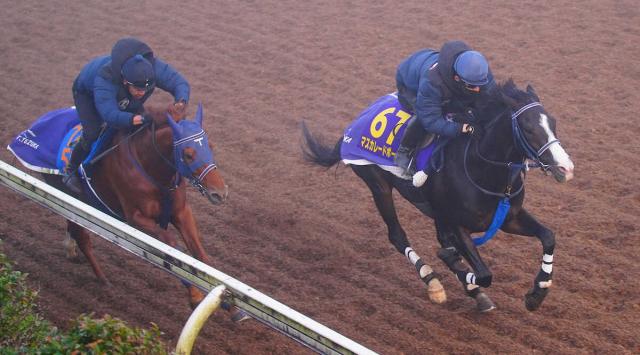 【ジャパンC】マスカレードボール　手塚久師納得の坂路4F53秒0　叩いた上積みに自信