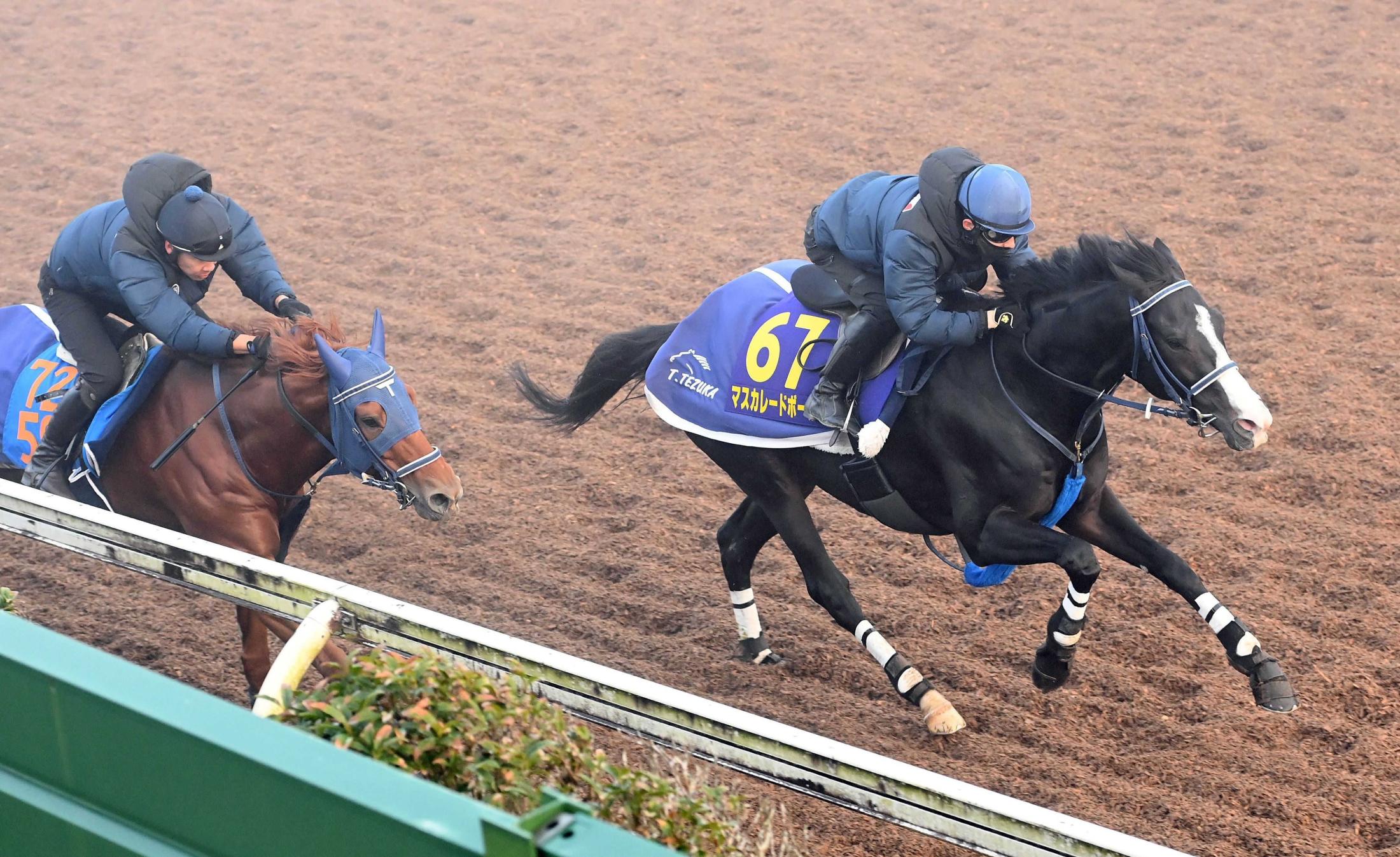 【ジャパンＣ】マスカレードボール　加速スムーズ　３歳馬初の秋盾＆ジャパンＣ制覇へ　手塚久師は予定通り強調