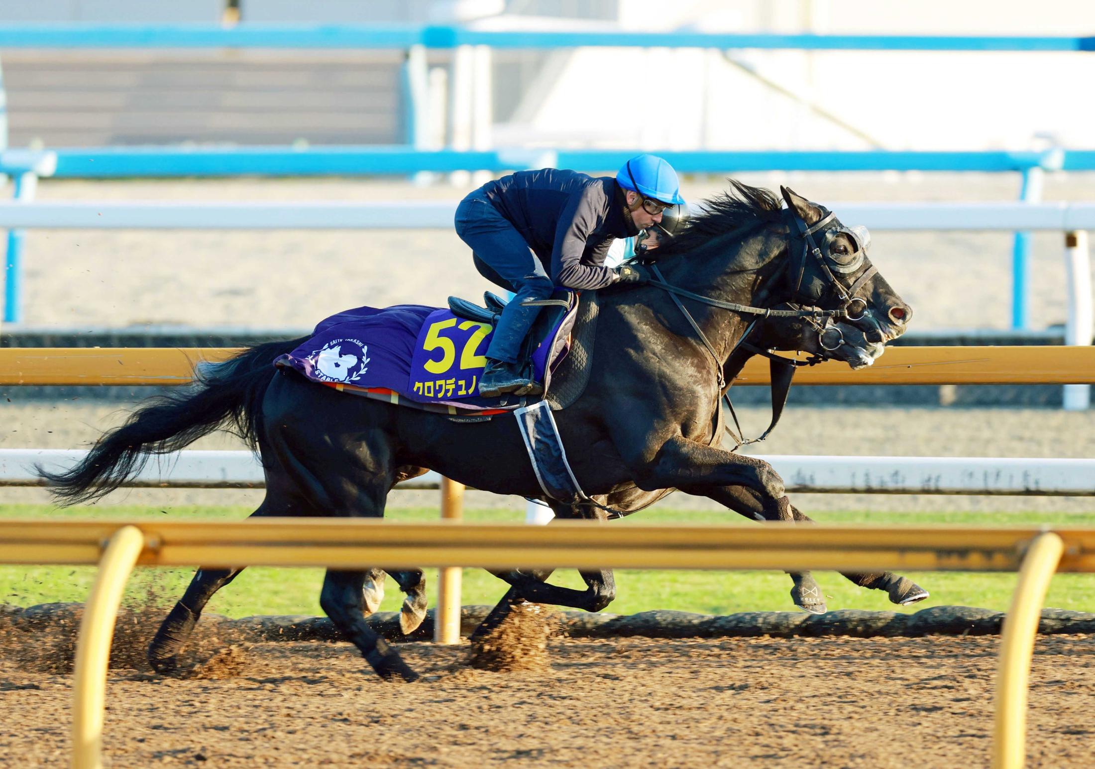 【ジャパンＣ】クロワデュノール　出走ＧＯサイン！圧巻最終リハ　調教騎乗“ライバル”Ｃデムーロからお墨付き