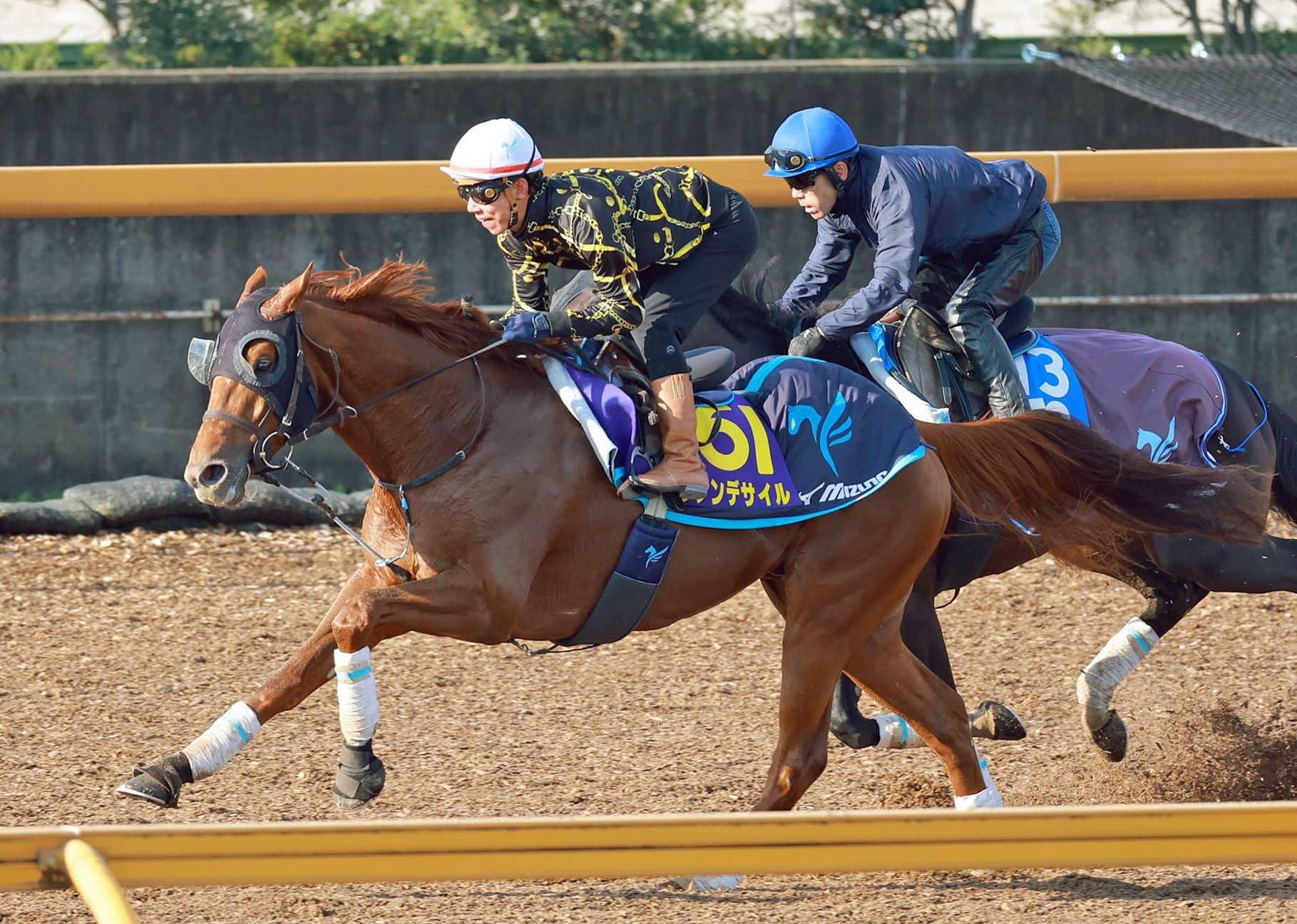 【ジャパンＣ】ダノンデサイル　圧巻の走り！さすがダービー馬ラスト１Ｆ１１秒４　安田師「競馬モードに入っている」