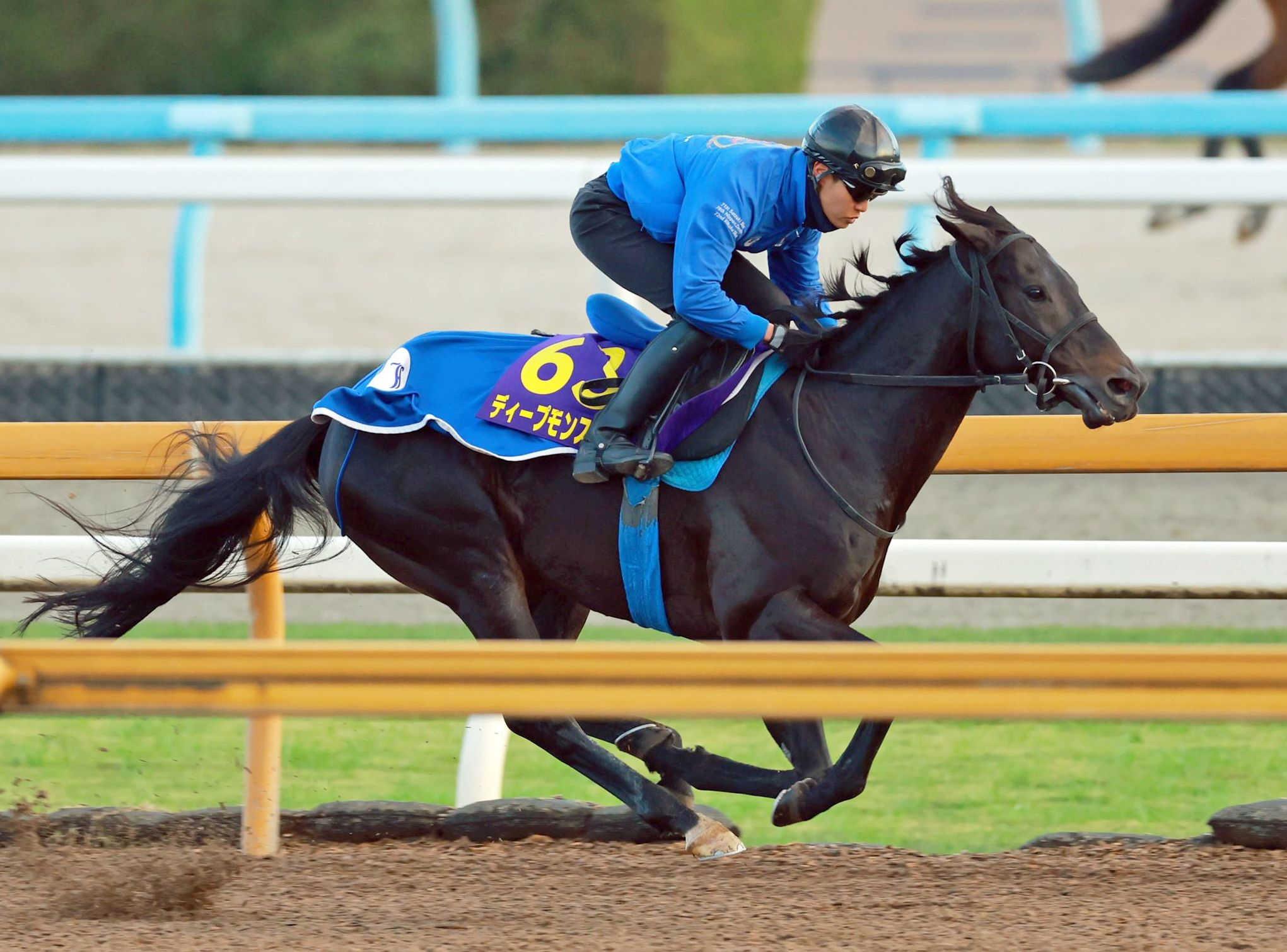 【ジャパンＣ】ディープモンスター　シャープな動き　池江師「背腰も安定して芯が入ってきた」万全アピール