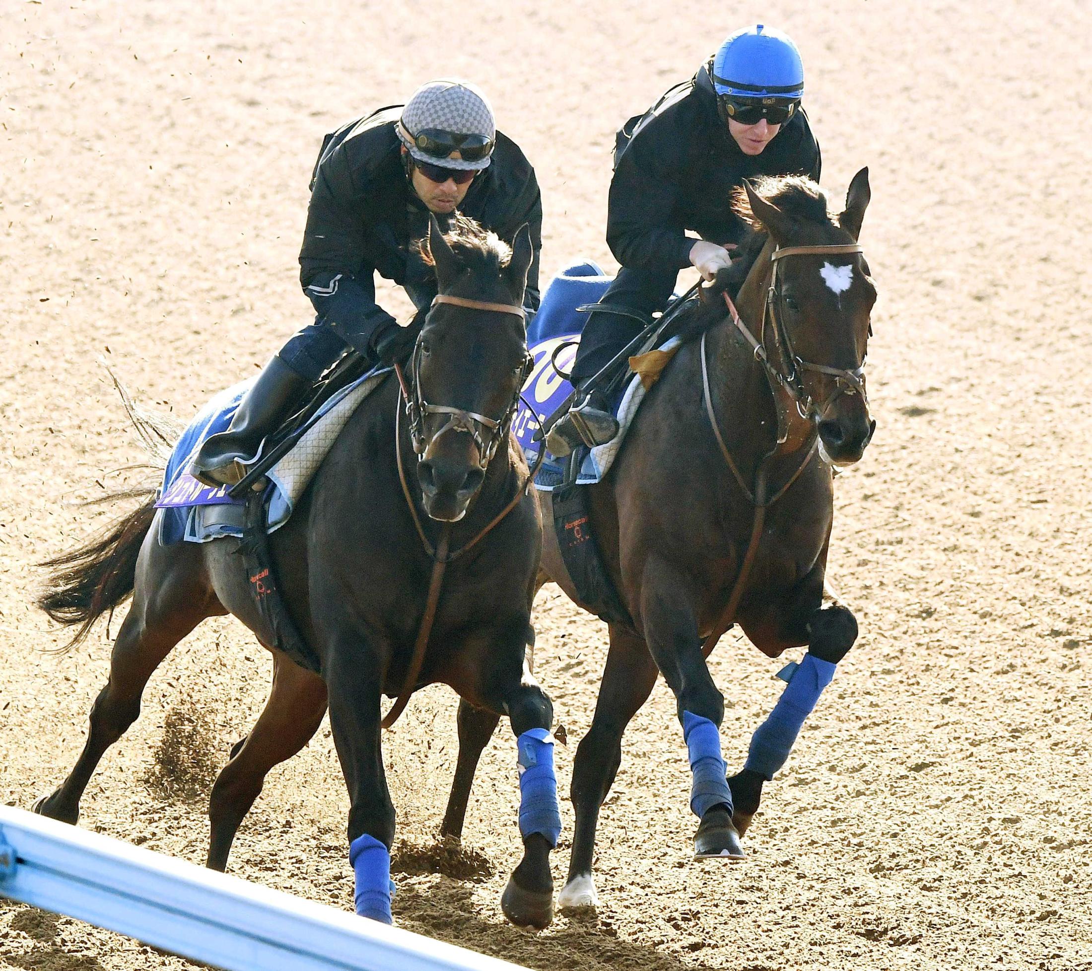 【ジャパンＣ】タスティエーラ　底力勝負を希望　レーン「ペースが流れてくれれば」