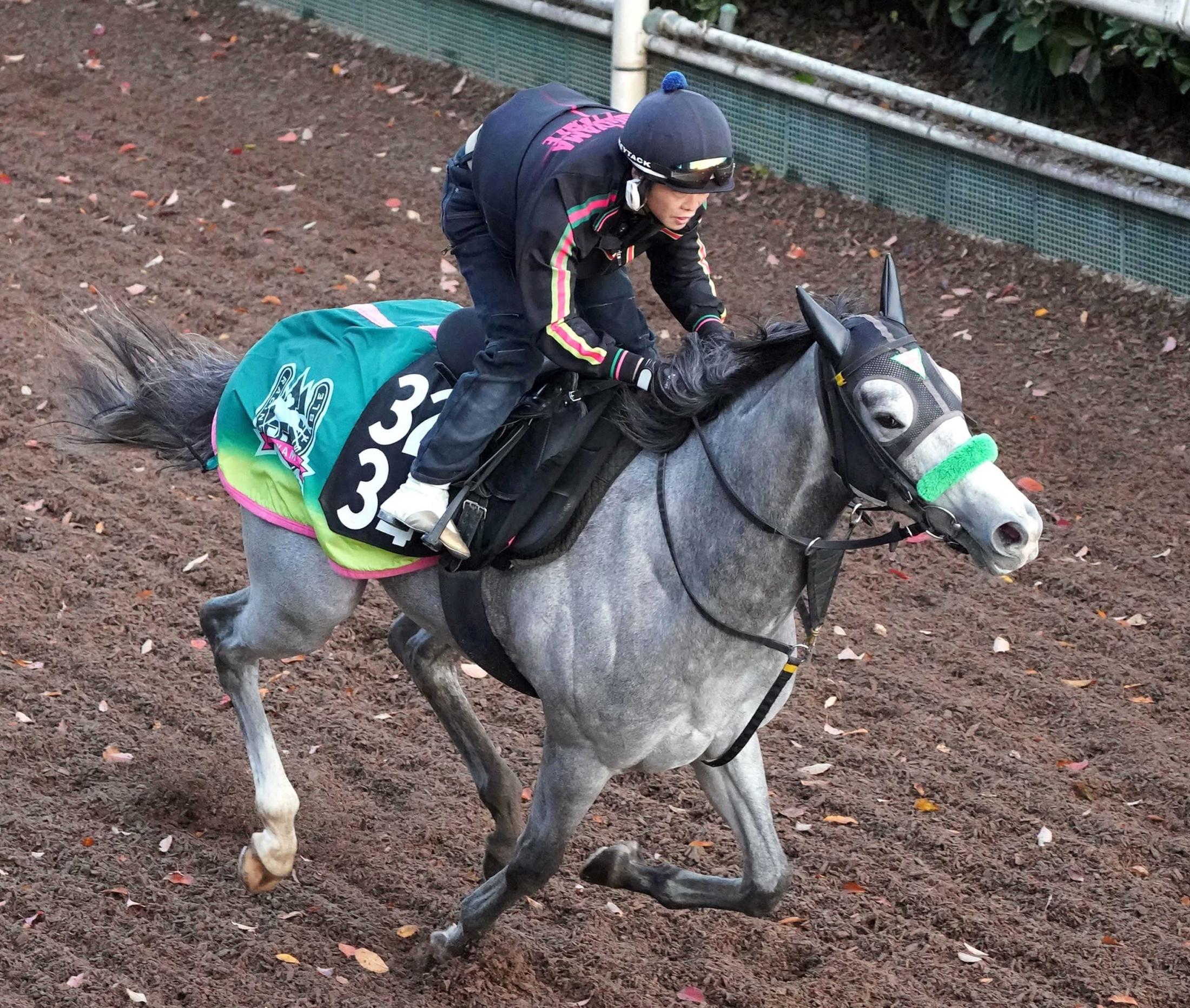 【京都２歳Ｓ】サトノアイボリー　調整順調　杉山晴師「競馬センスの良さが長所」ここでタイトル掴む