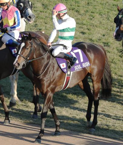 【注目馬動向・古馬】マイルCS6着のソウルラッシュは引き続きCデムーロ騎手で香港マイルへ