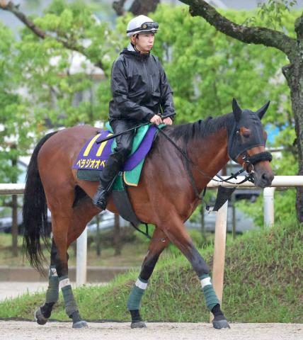 【香港国際競走】カップのベラジオオペラ、スプリントのサトノレーヴなど日本馬8頭を選出　香港ジョッキークラブ発表