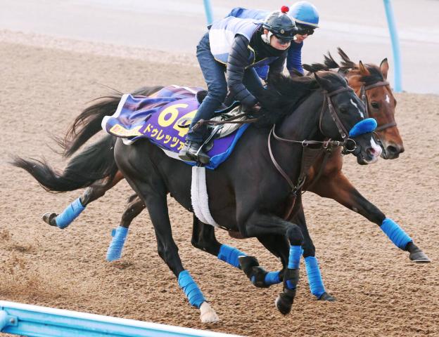 【ジャパンC】昨年2着馬ドゥレッツァが復活へ　尾関調教師「パンパンの良馬場でやりたい」