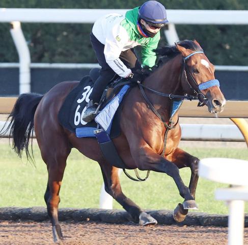 【京都2歳S】ウイナーズナインが3連勝で重賞制覇だ　小栗調教師「首を使っていい動きでした」