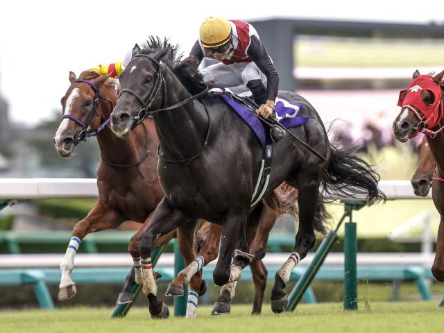 ڵȽۥ륬11֡ʥ饯612