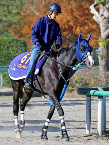 ڥѥCۥޥ졼ɥܡ715֡رġֿ͵Ϥ򸫤ʤԤΤǰʤ