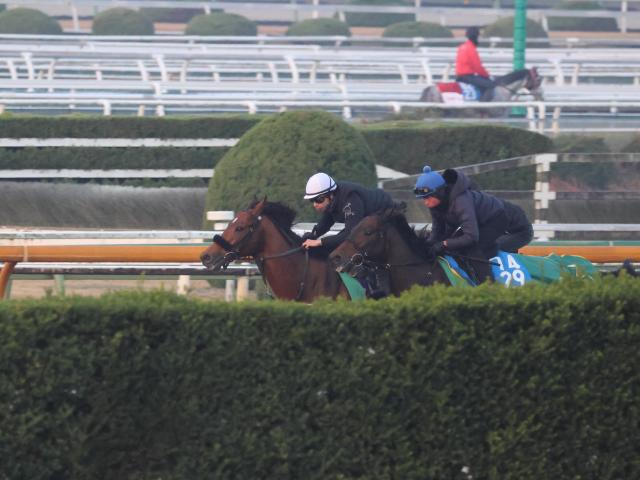 ٥饸ڥ顢Cɤڤ®/ȥ쥻˥塼