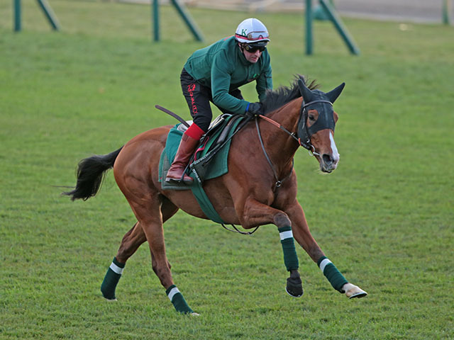 ڥѥCۥɤڤȽ եա֤ʾ˾ʤۤ­Ƥ