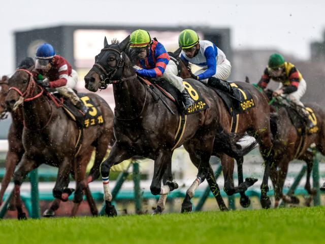 ڽĥꤢ襷Υ֤ǵդ/ϻϺΤĤ֤䤭