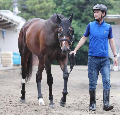 ڥԥC۽Ȥդ2Υåڥ󥹤ϱԤưĴա־궥ϤϤ䤹