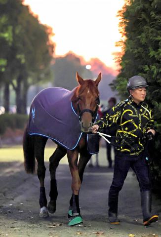 ڥѥCͻܥӡ3ƬǺǤͭϤʤΤϡġΥ٥򿼷