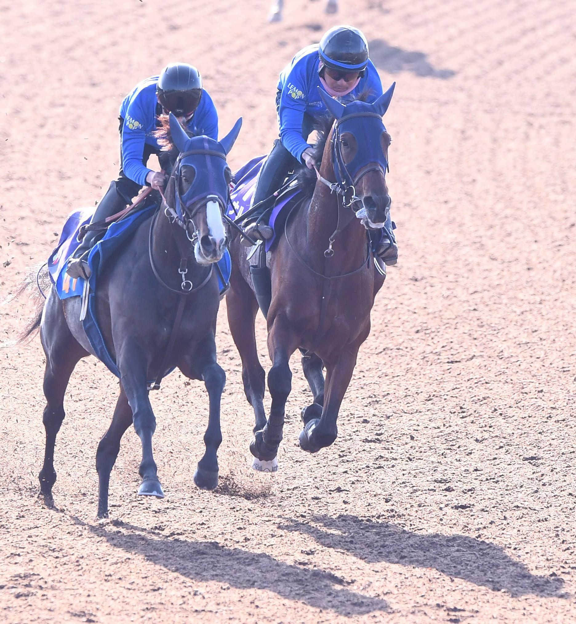 ڥԥ󥺣áۥʥ륫ߡȴݥȤ̡աּʬȤȤ襤ˤʤ