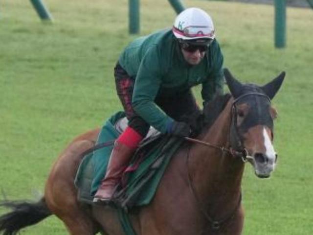 ڥѥC(8)!ǶȤɤեա־֤ʤꤤ