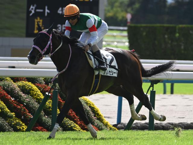 【京都2歳S予想】大舞台への登竜門！ 初タイトルをつかみGI戦線に名乗りを挙げるのは