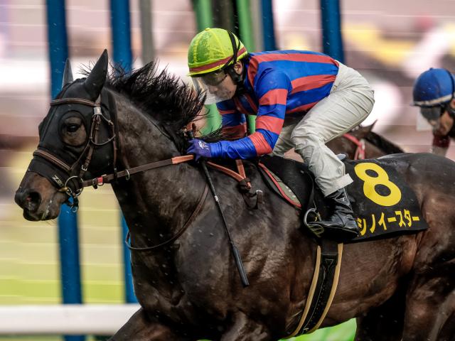 【京阪杯予想】都開催の掉尾を飾るスプリント戦 勝利をつかむのはどの快速馬か