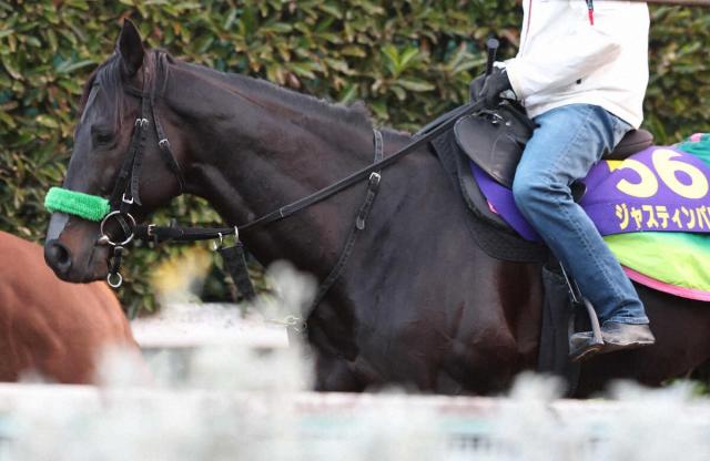 ڥѥC(1)㥹ƥѥ쥹10ǯǥȥåʣΨ60%!ŷȹ