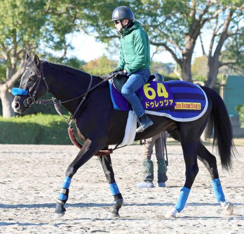 ڥѥCۥɥåĥϥȤФĴĴաǶϤǤС