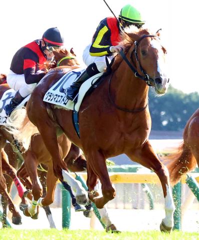 【東京2R・2歳未勝利】グランアレグリアの初子、グランマエストロは2着　ルメール騎手「引っかかった」