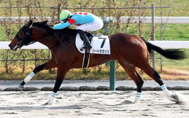 【京都6R・2歳新馬】強い!2冠牝馬エンブロイダリーの半弟バートラガッツが快勝