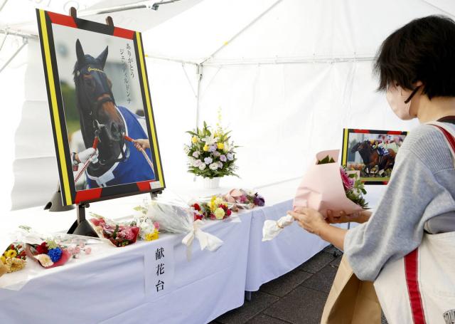 東京競馬場に設置されたジェンティルドンナの献花台には涙を流すファンも　「孫が新馬戦を勝って喜んでいたのに…」
