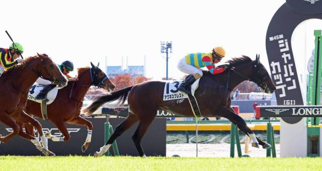 初勝利が遠い超良血馬にファン落胆「あかんかったか」「フラフラしてた」　グランマエストロは2着に前進したが…