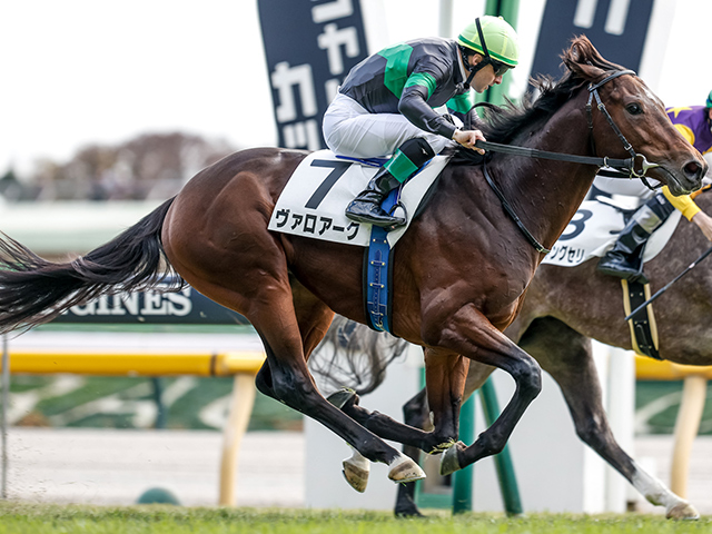【東京5R新馬戦結果】レイデオロ産駒ヴァロアークがゴール寸前で差し切りV