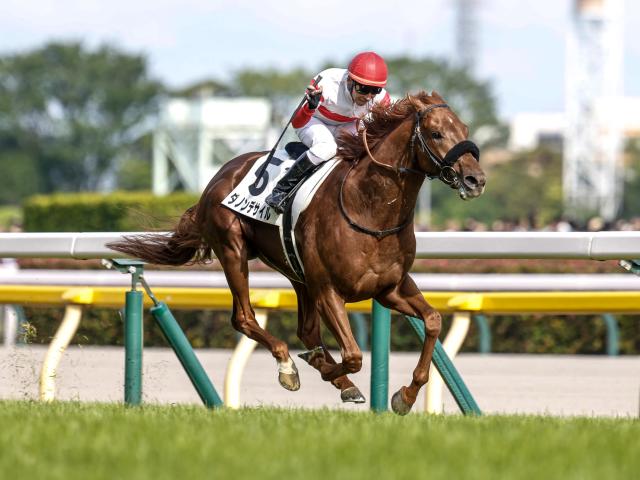 AIͽۡѥC԰Τǻͳ ֤ǳϥ٥ɽ