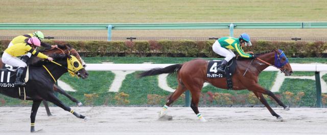 【東京9R・カトレアS】サトノボヤージュ3連勝でサウジダービー視野　田中博調教師「青写真通り」