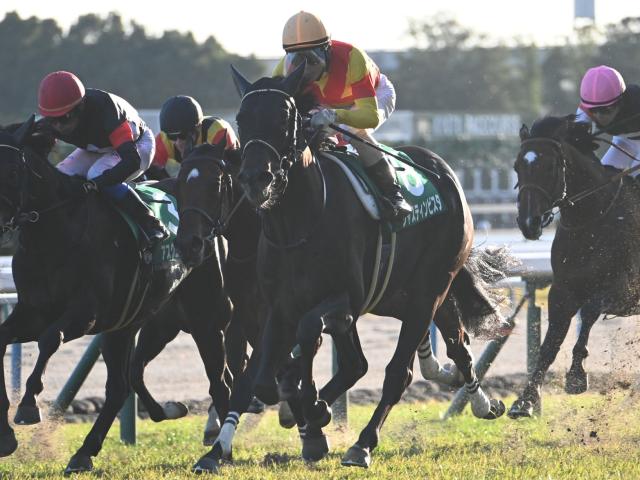 【京都2歳S結果】9番人気ジャスティンビスタが差し切り、無傷2連勝で重賞V