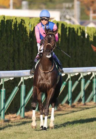 【京都2歳S】メイショウソラリスは11着　武豊「まだまだこれからの馬」